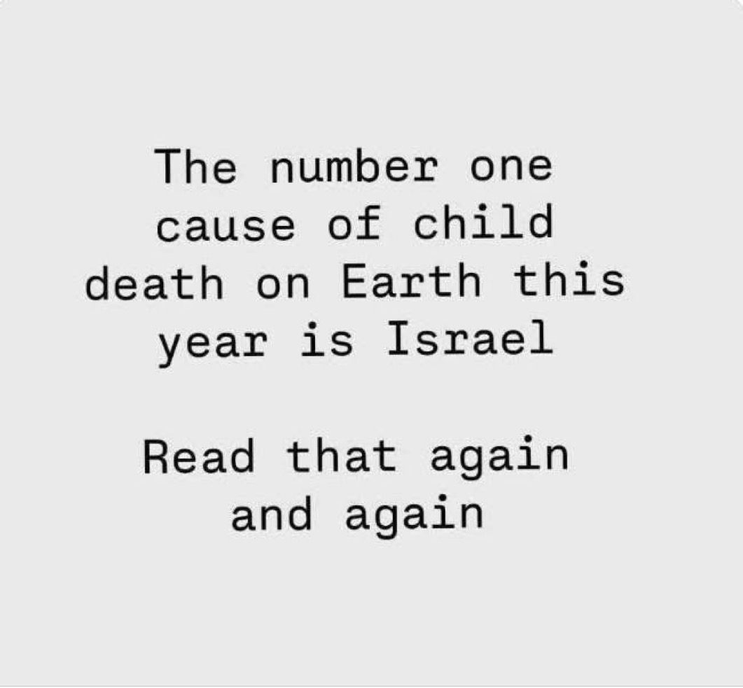 How naive. Or deliberately awful. Muslim Brotherhood is the root of tens of thousands of murders of children &amp; starvation across Africa &amp; the ME. Or don't you care if the killing is done by Muslims? 