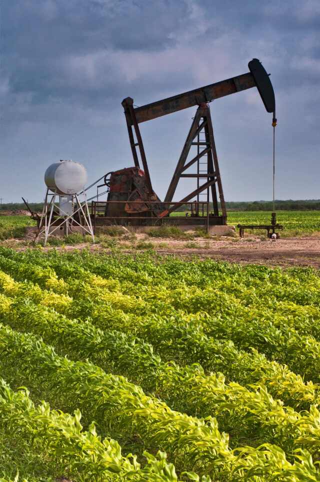 Pump jack at oil well in a milo maize field near Mission, Rio Grande Valley, Texas, USA