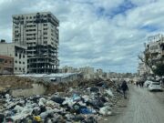 The Muslim Brotherhood, not Israel, is the Root of Famine and Genocide